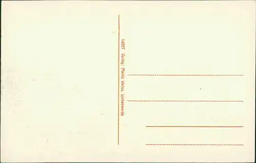 Ansichtskarte Bad Liebenwerda Partie an der Villa 1914 rote Schrift