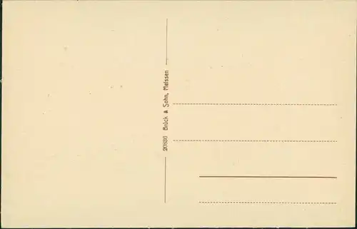 Ansichtskarte Elsterwerda Wikow Denkmalplatz 1913 b