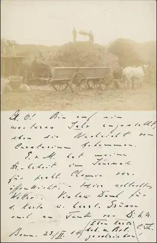 Berufe /Arbeit: Bauern  Landwirtschaft bei der Heuernte Privatfoto 1904
