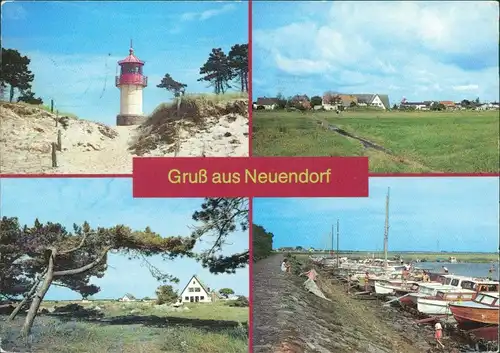 Neuendorf (Hiddensee) Leuchtfeuer am Gellen Vitte, Windflüchter g1989