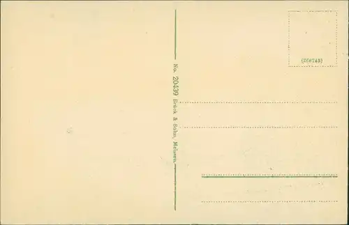 Ansichtskarte Senftenberg (Niederlausitz) Stadtpark - Schloßpark 1914 