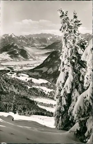 Grainau Blick von Edelsberg 1600 m ins Pfrontener Säuling und Zugspitze 1965
