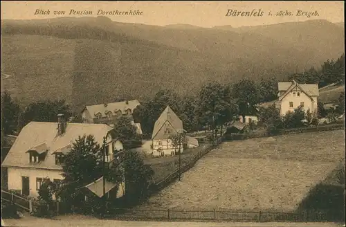 Bärenfels (Erzgebirge)-Altenberg   Blick von Pension Dorothenhöhe 1913