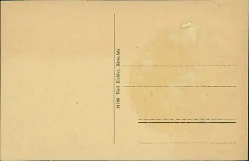 Bärenfels (Erzgebirge)-Altenberg   Blick von Pension Dorothenhöhe 1913