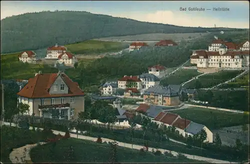 Ansichtskarte Bad Gottleuba-Bad Gottleuba-Berggießhübel Stadtpartie 1913 