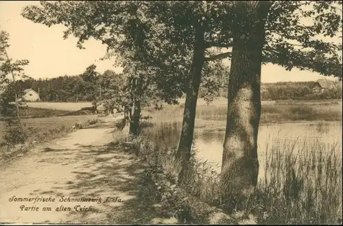 Ansichtskarte Schmannewitz-Dahlen Partie am alten Teich 1917