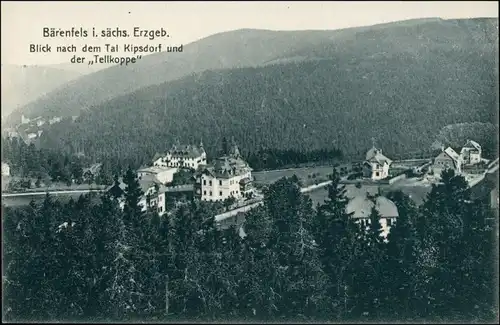 Bärenfels (Erzgebirge)-Altenberg (Erzgebirge) Blick ins Tal Kipsdorf 1912