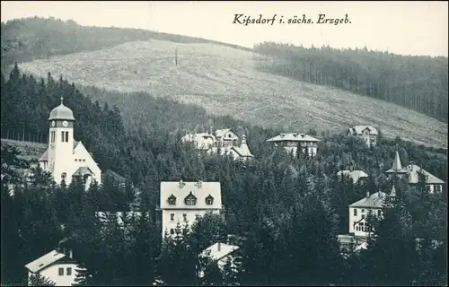 Ansichtskarte Kipsdorf-Altenberg (Erzgebirge) Blick auf die Stadt 1909