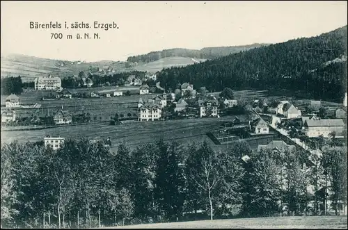 Ansichtskarte Bärenfels (Erzgebirge)-Altenberg (Erzgebirge) Stadtpartie 1911