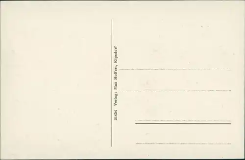 Ansichtskarte Bärenfels (Erzgebirge)-Altenberg (Erzgebirge) Stadtpartie 1911