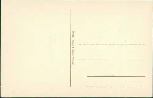 Ansichtskarte Waldenburg (Sachsen) Schloss - Parkseite 1914