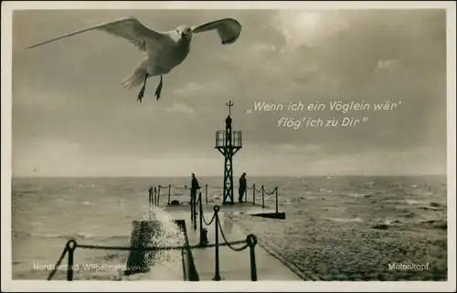 Ansichtskarte Wilhelmshaven Molenkopf - Möwe 1938