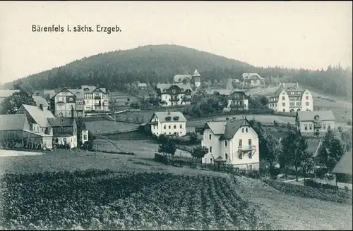 Ansichtskarte Bärenfels (Erzgebirge)-Altenberg (Erzgebirge) Stadtpartie 1913