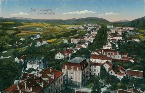 Ansichtskarte Bad Wildungen Brunnen-Allee 1914