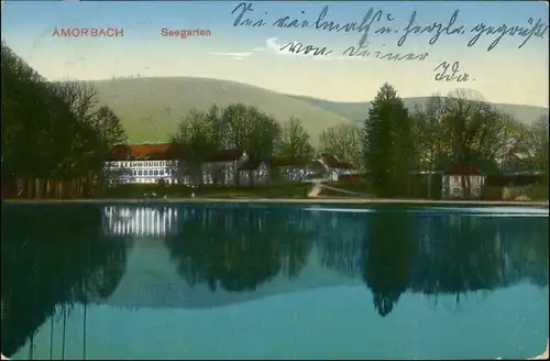 Ansichtskarte Amorbach Seegarten 1913