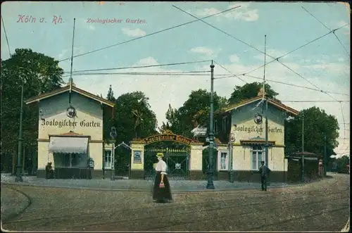 Ansichtskarte Nippes-Köln Zoologischer Garten - Straße - Eingang 1913