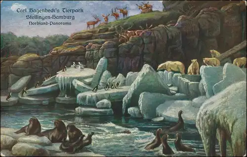 Ansichtskarte Stellingen-Hamburg Tierpark Hagenbeck - Norlandpanorama 1917
