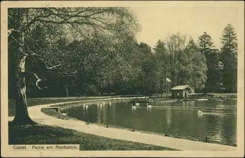 Ansichtskarte Kassel Cassel Partie am Auebassin 1915