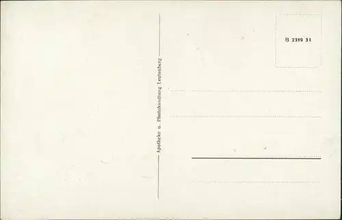 Ansichtskarte Leutenberg Pension Beetz 1934