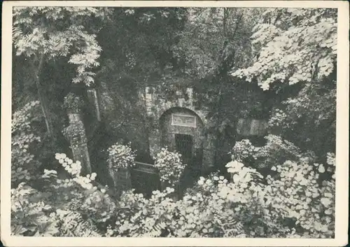 Ansichtskarte Bad Pyrmont Die Dunsthöhle auf dem Helvetiushügel 1935