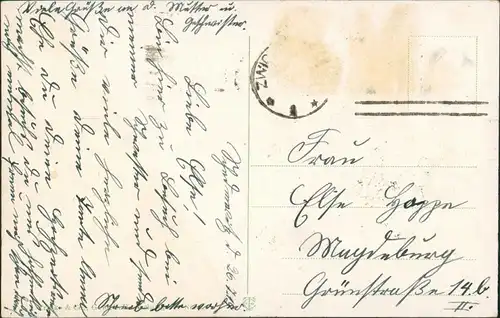 Ansichtskarte Zwickau Paradiesbrücke Ebertschlösschen 1914