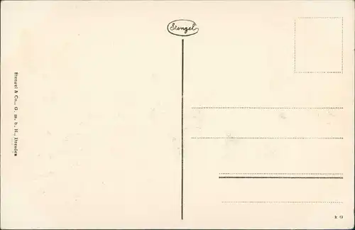 Ansichtskarte Bad Harzburg Molkenhaus - Kühe 1924