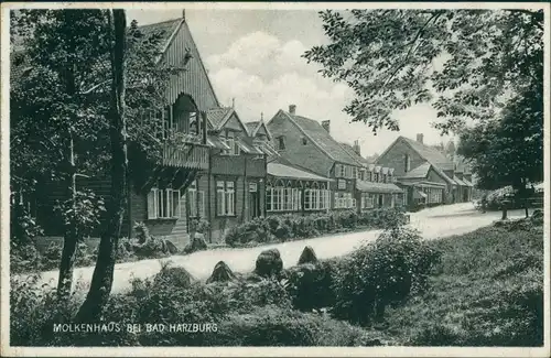 Ansichtskarte Bad Harzburg Molkenhaus 1929