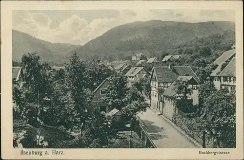 Ansichtskarte Ilsenburg (Harz) Buchbergstraße 1918