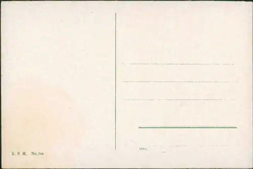 Ansichtskarte Rolandseck-Remagen Landschaft, Rhein 1915