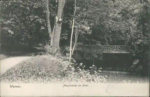 Ansichtskarte Weimar Naturbrücke im Park 1900
