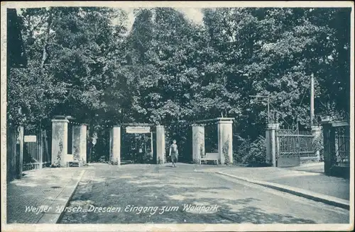 Ansichtskarte Weißer Hirsch-Dresden Eingang zum Waldpark 1935