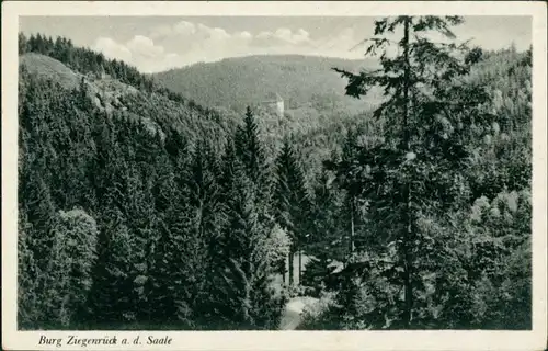 Ansichtskarte Ziegenrück/Saale Panorama-Ansichten 1956