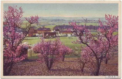 Ansichtskarte  Ortschaft Frühlingsblüte Stimmungsbild 