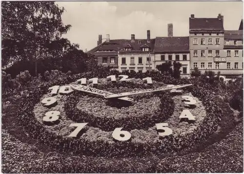 Ansichtskarte Görlitz Zgorzelec Blumenuhr 1969