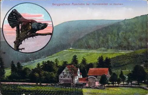 Ansichtskarte Hahnenklee-Bockswiese-Goslar Berggasthaus "Auerhahn" 1909