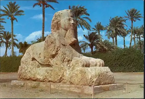 Postcard Giseh Gizeh الجيزة Sphinx von Sakkara (Klein) 1992