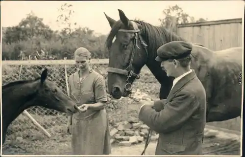Ansichtskarte  Pferde auf Bauernhof - Privatfotokarte 1930 