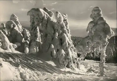 Ansichtskarte Deutschland Winterzauber im Harz 1970