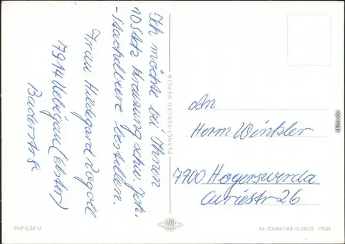 Ansichtskarte  Tiere - Pferde 1984