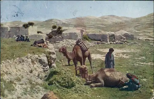 Postcard allgemein Fellachendorf - a native village 1913 