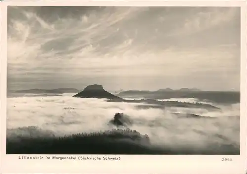 Porschdorf-Bad Schandau Lilienstein im Morgennebel (Sächische Schweiz) 1967