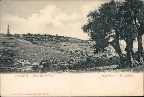 Jerusalem Jeruschalajim (רושלים) Mont des Oliviers/Der Ölberg 1908 