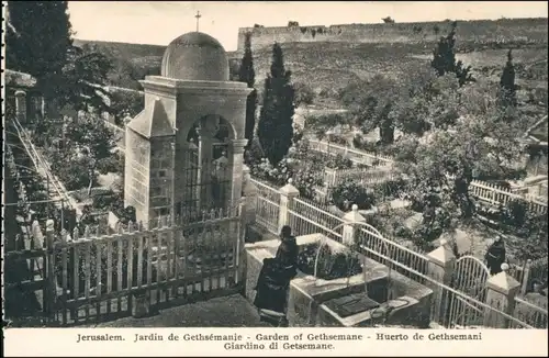 Postcard Jerusalem Jeruschalajim (רושלים) Garden of Gethsemane 1918
