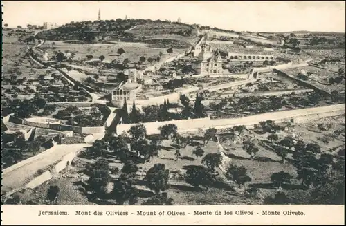 Postcard Jerusalem Jeruschalajim (רושלים) Mount of olives 1918