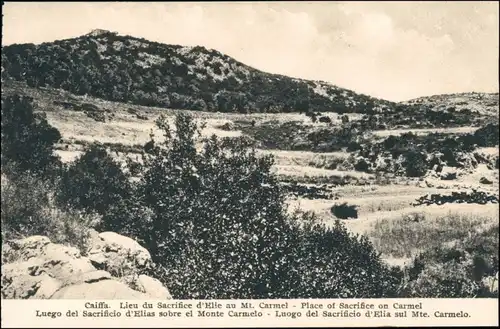 Postcard Haifa Lieu du Sacrifice d'Elie au Mt. Carmel 1915