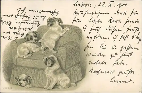 Ansichtskarte  Hundewelpen auf Sessel - Künstlerkarte 1900 Prägekarte