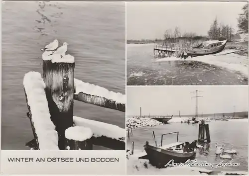 Ansichtskarte .Mecklenburg-Vorpommern Winter an Ostsee und Bodden 1981