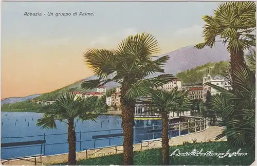 Sankt Jakobi Opatija (Abbazia) Un gruppo di Palma/Promenadenpartie und Blick auf die Stadt 1916 