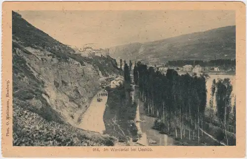 Postcard Skopje (Hauptstadt) Скопје | Üsküp Im Wardartal 1917 