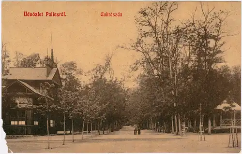 Postcard Palitsch Palić Палић Palics Cukraszda 1914 